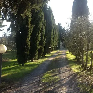 Sunshine , Firenze Italia